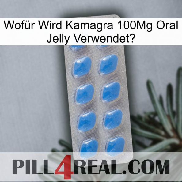 Wofür Wird Kamagra 100Mg Oral Jelly Verwendet 22